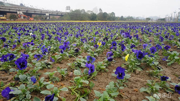 小铜河生态文化公园