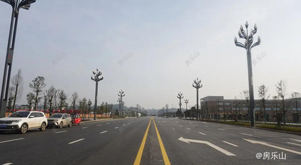 龙口路（乐沙大道至双林路）实景图