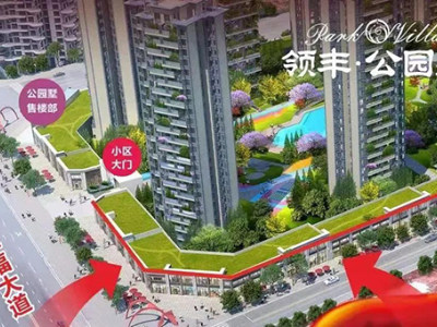 领丰公园墅 | 十字龙头铺，交5万抵8万！热火排号中……