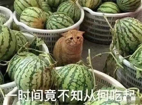 好多瓜！