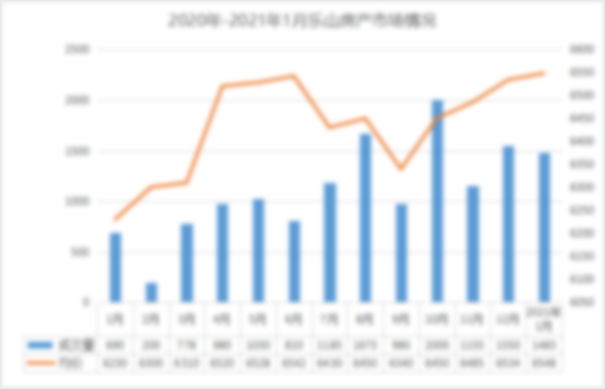 1月成交数据表 1月成交数据表