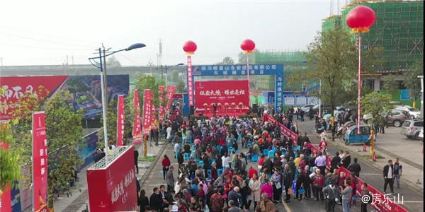 现场实拍图