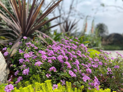 3月最新工程进度 | “家”音渐至，美好可鉴……