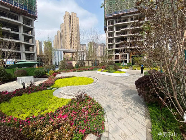 领丰公园墅实景图