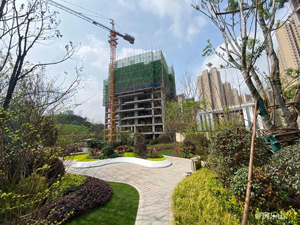 领丰公园墅实景图