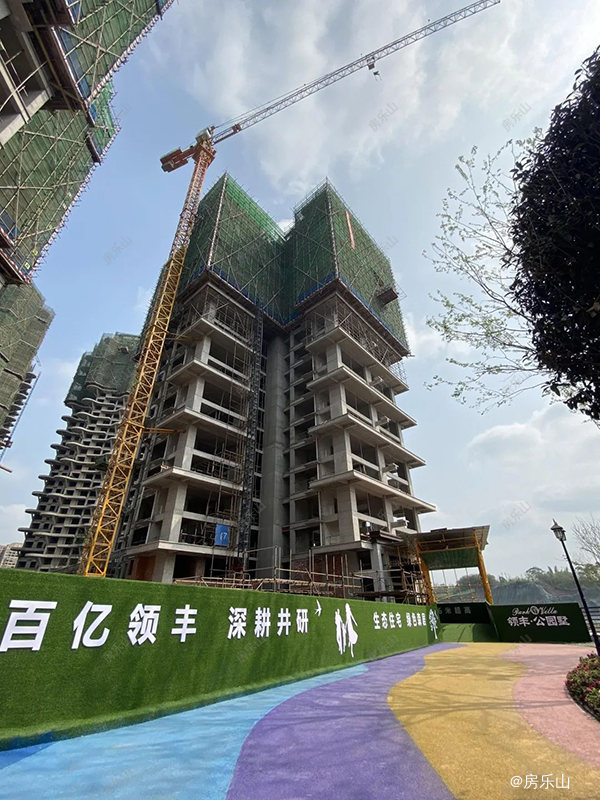 领丰公园墅实景图