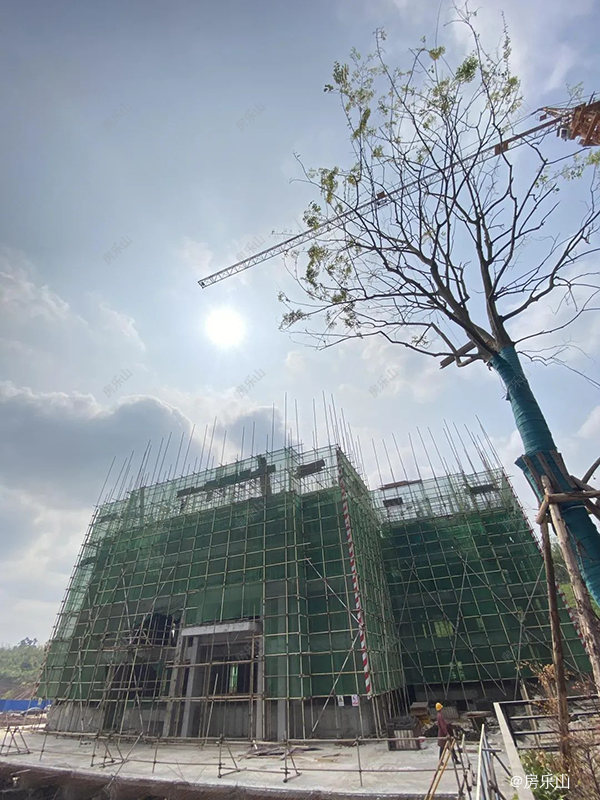 领丰公园墅实景图