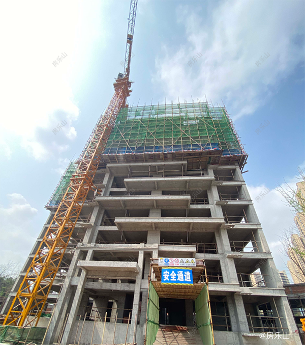 领丰公园墅实景图