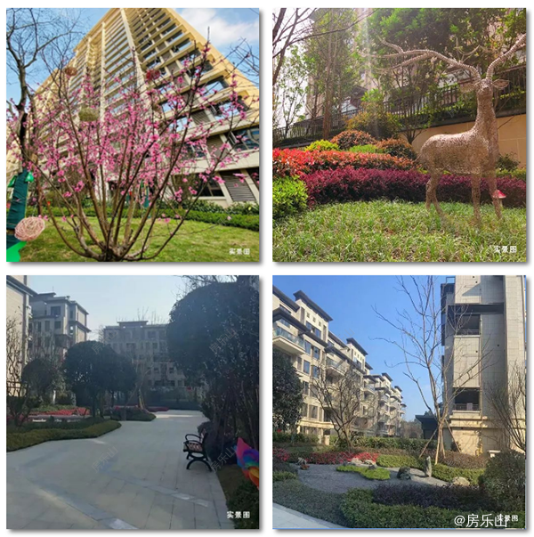 领地澜山园林实景图