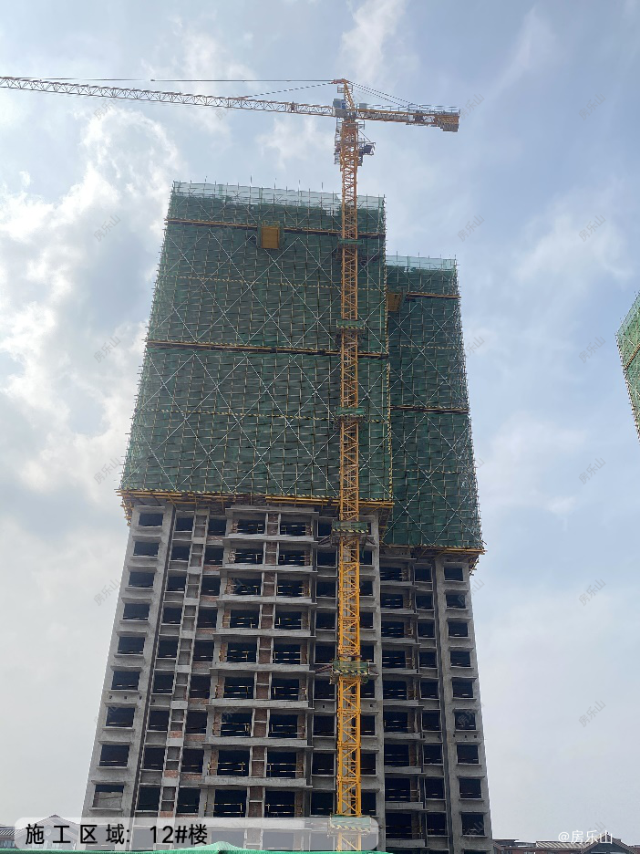 碧桂园青江府工程实景图
