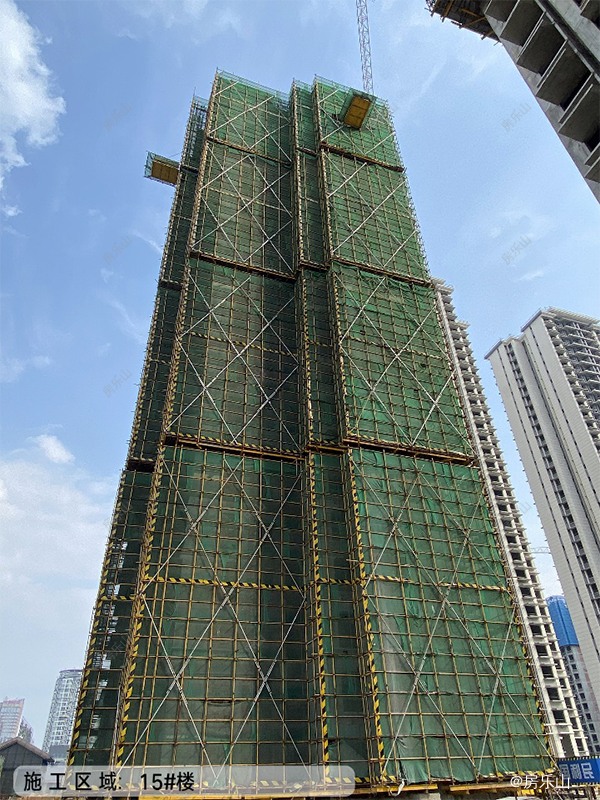碧桂园青江府工程实景图