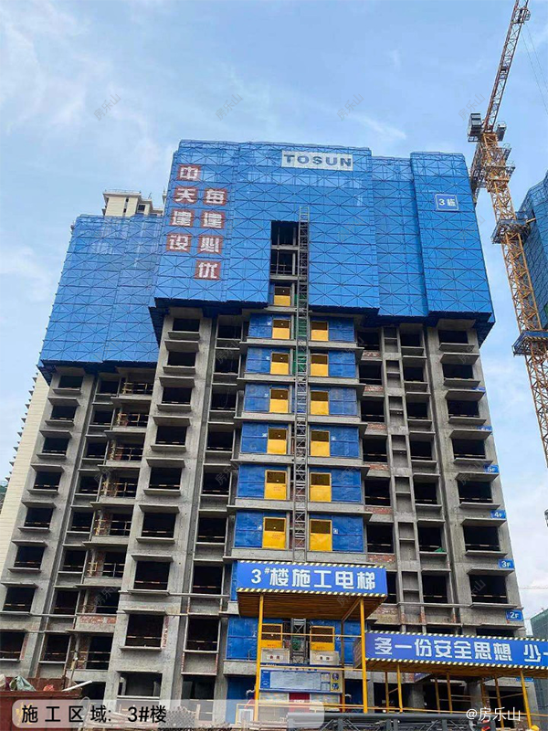 碧桂园青江府工程实景图
