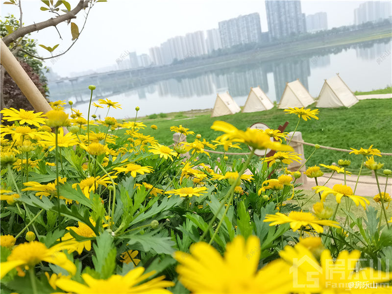 滨江花园城实景图