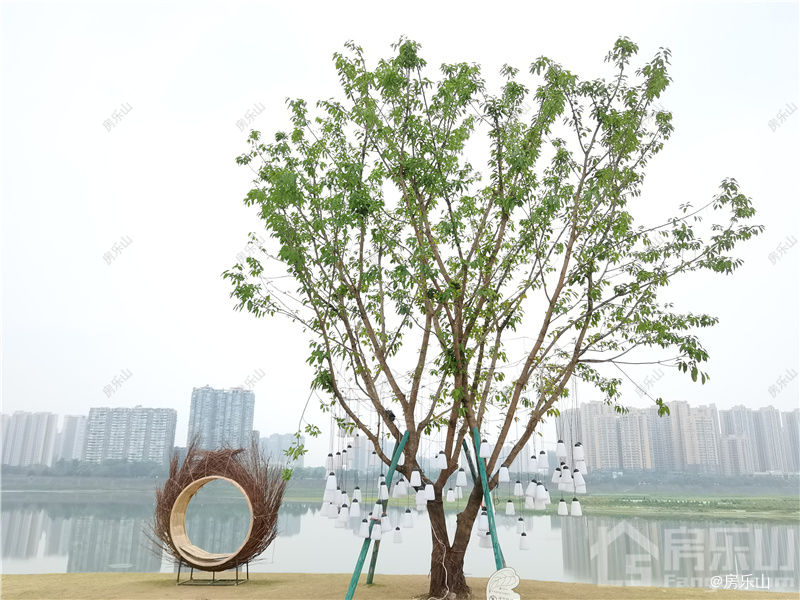 滨江花园城实景图