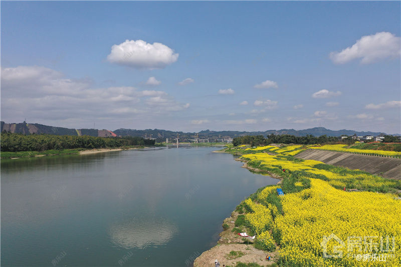 滨江花园城实景图