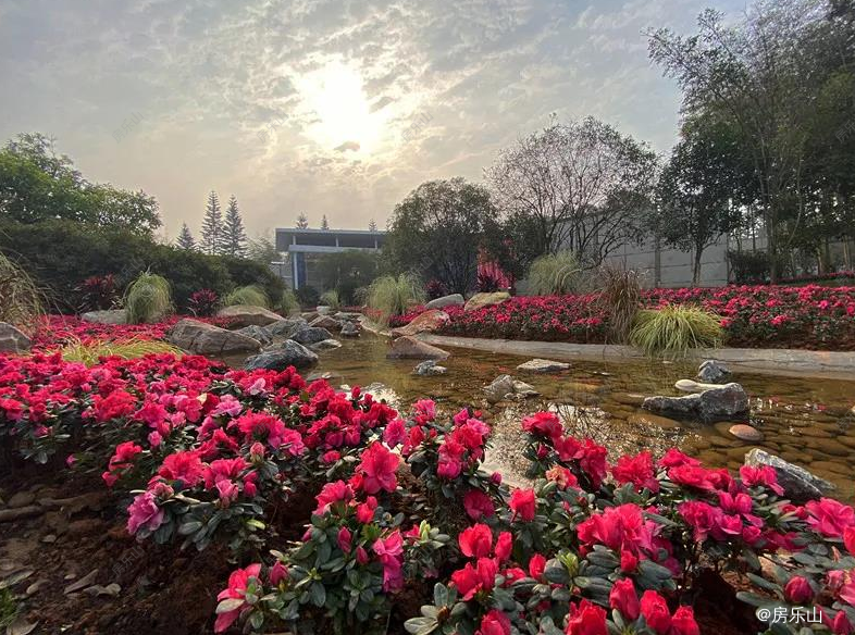 佛光湖海棠别院温泉度假小镇实景图