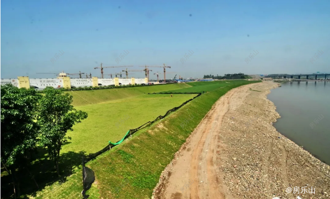 滨江公园的草坪铺设