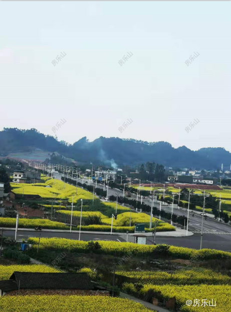 冠英新区进港大道