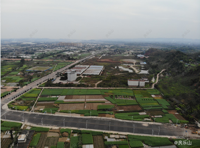 乐山冠英新区地势