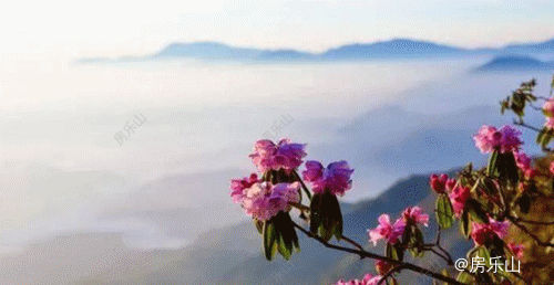 寰?俊鍥剧墖_20210427210322.gif