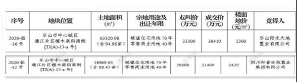 图片源自乐山市土地矿权交易中心