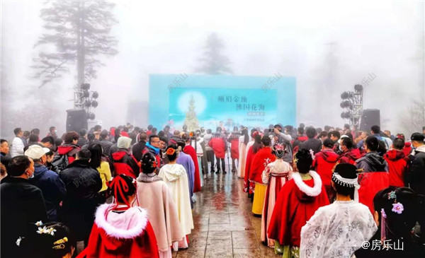 峨眉山杜鹃花实景图