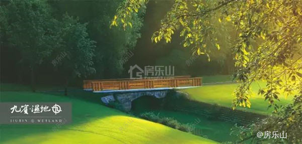 九宾湿地实景图