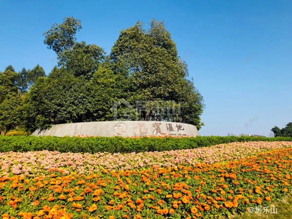 九宾湿地实景图