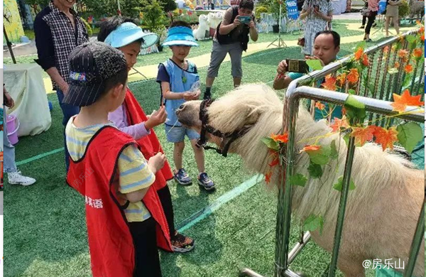 阳光天樾国际城趣玩萌宠