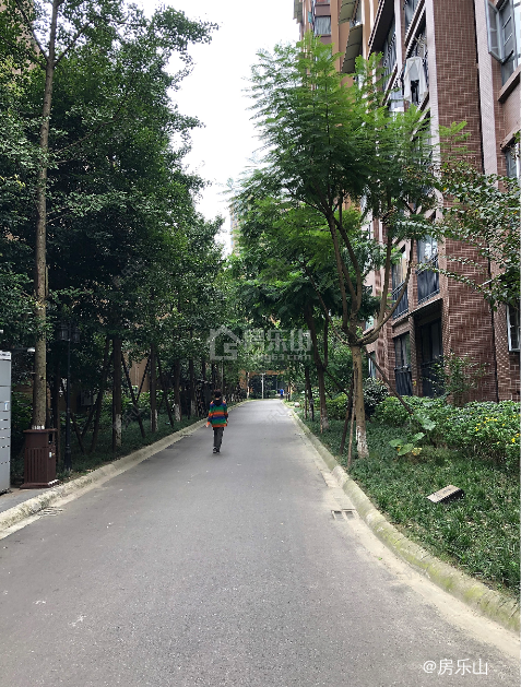 华泰梧桐公馆小区实景图
