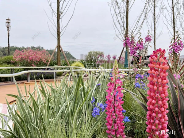 北区滨江公园实景图