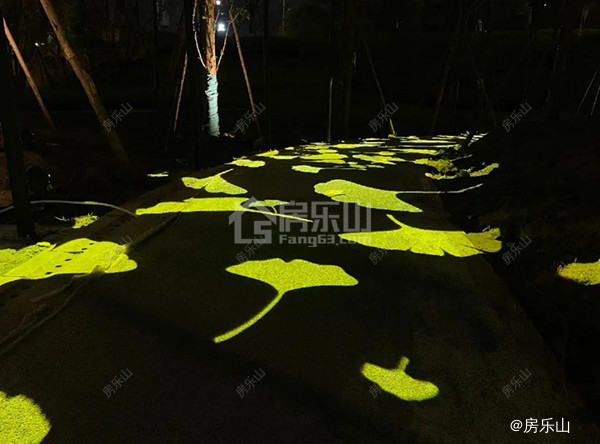 夜晚的公园实景图