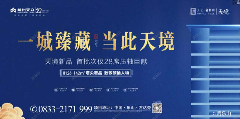 天立御景峰广告画面