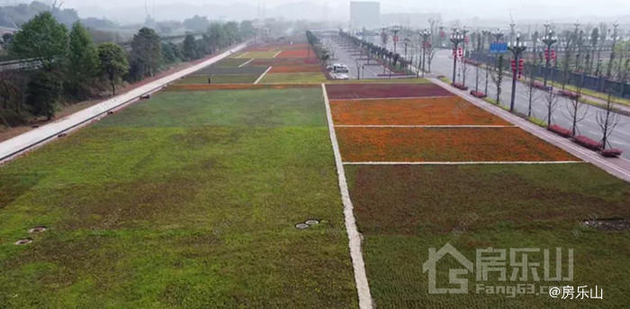 科普湿地公园实景图