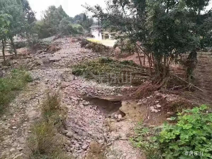河堤受损实景图