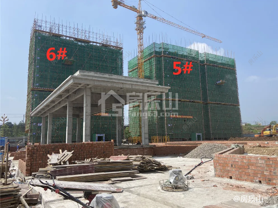 项目施工进度图