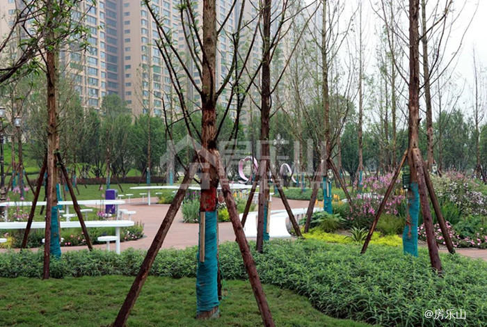 滨江公园北区实景图