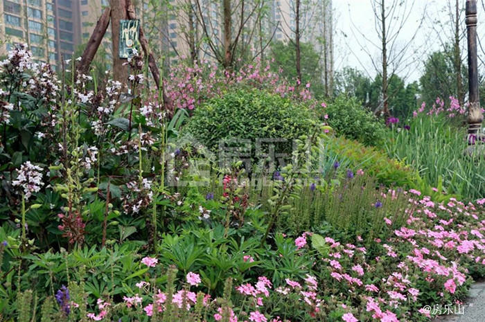 滨江公园北区实景图