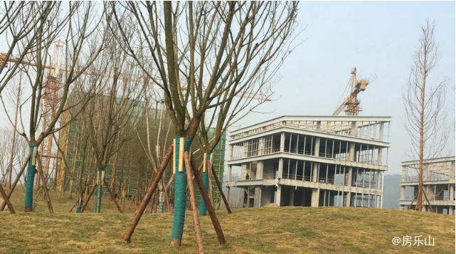 乐山仁心医院