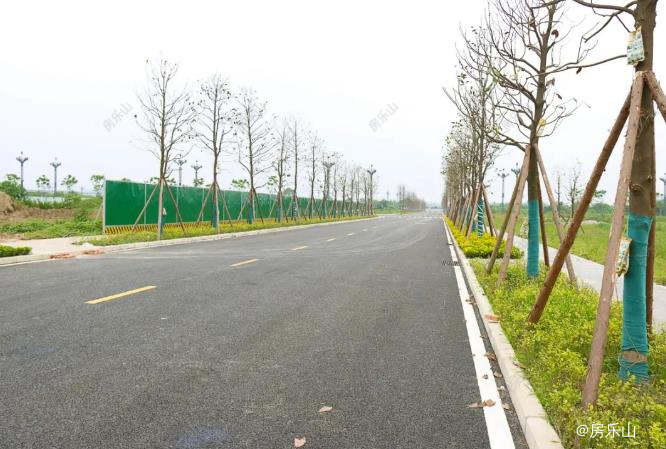 规划道路II工程进度