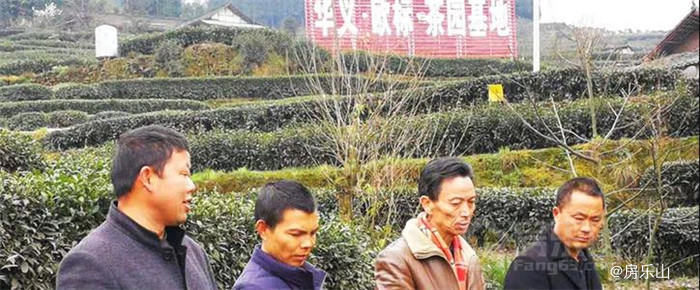 （图片来源于网络）