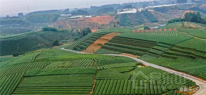 图片来源于网络