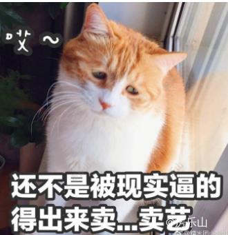 网络图片