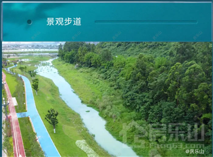 景观步道实景图