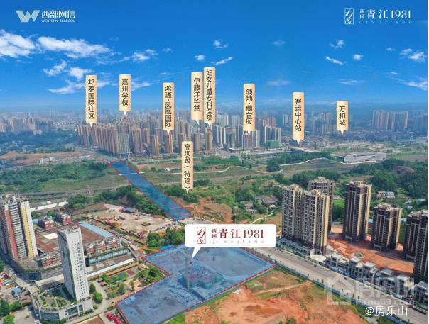 西网青江1981区位图