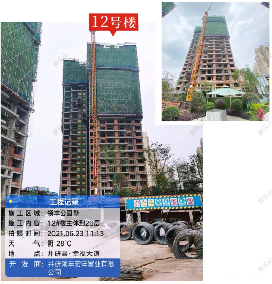 领丰公园墅工程进度图