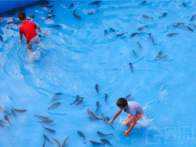 什么？！上千斤活鱼空降犍为铜雀台！还能免费带回家！