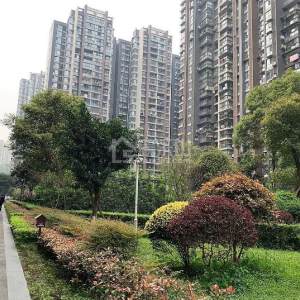 西城国际实景图