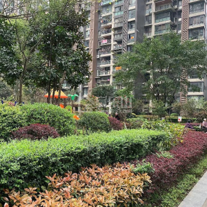 西城国际实景图