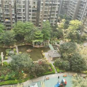 西城国际实景图